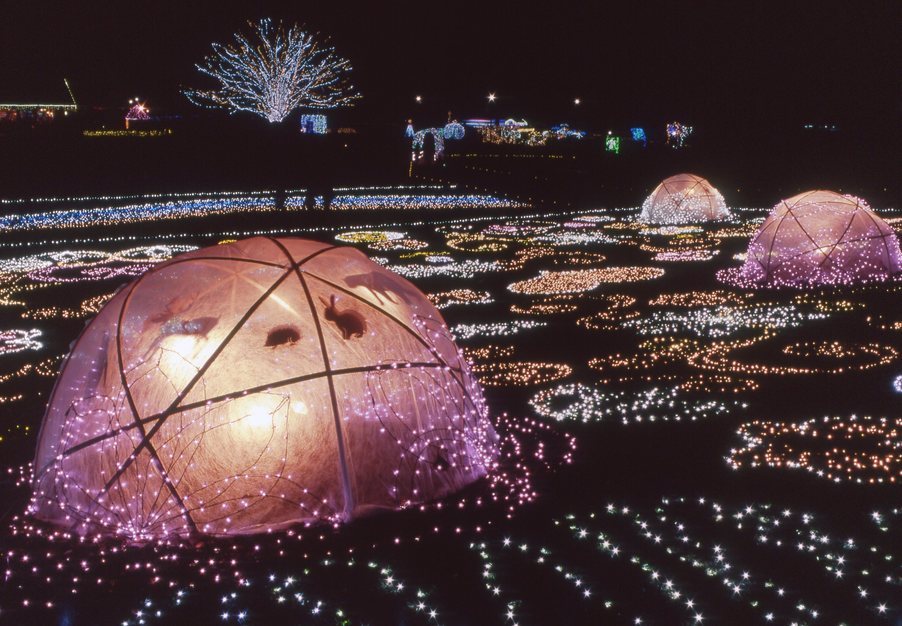 KEN�eS�@�t�H�g�M�������[