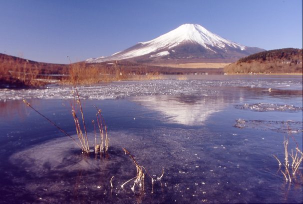 KEN�eS�@�t�H�g�M�������[