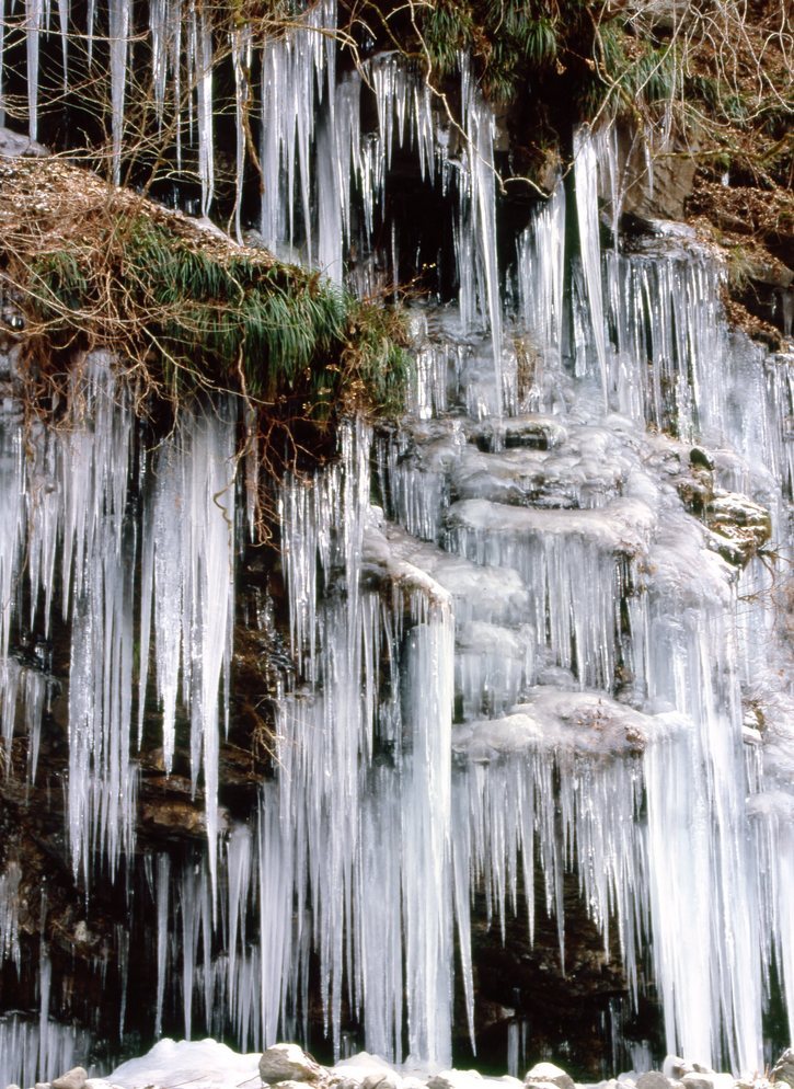 KEN�eS�@�t�H�g�M�������[