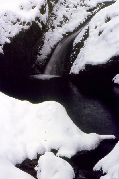 KEN�eS�@�t�H�g�M�������[