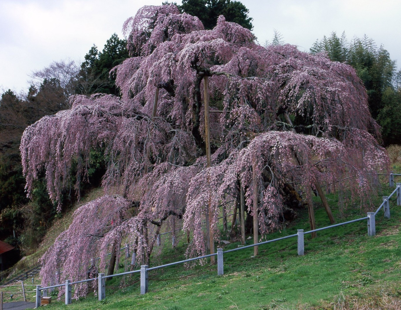 KEN�eS�@�t�H�g�M�������[