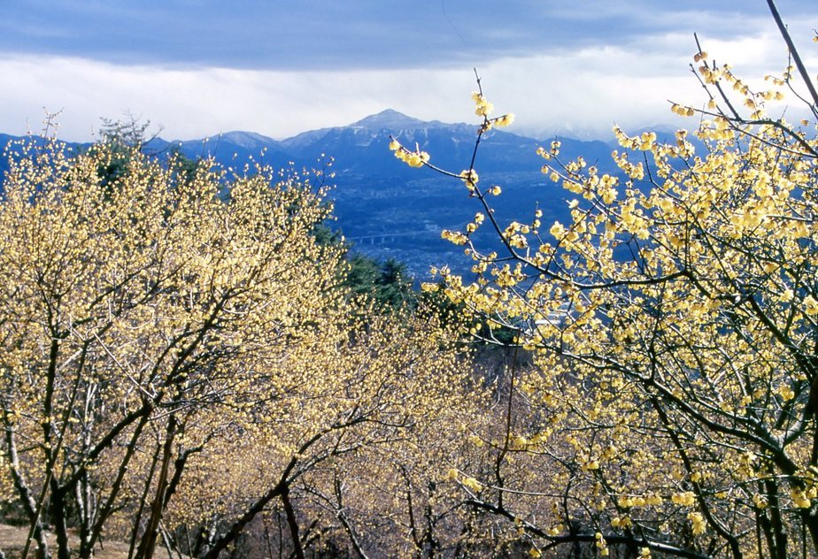 KEN�eS�@�t�H�g�M�������[