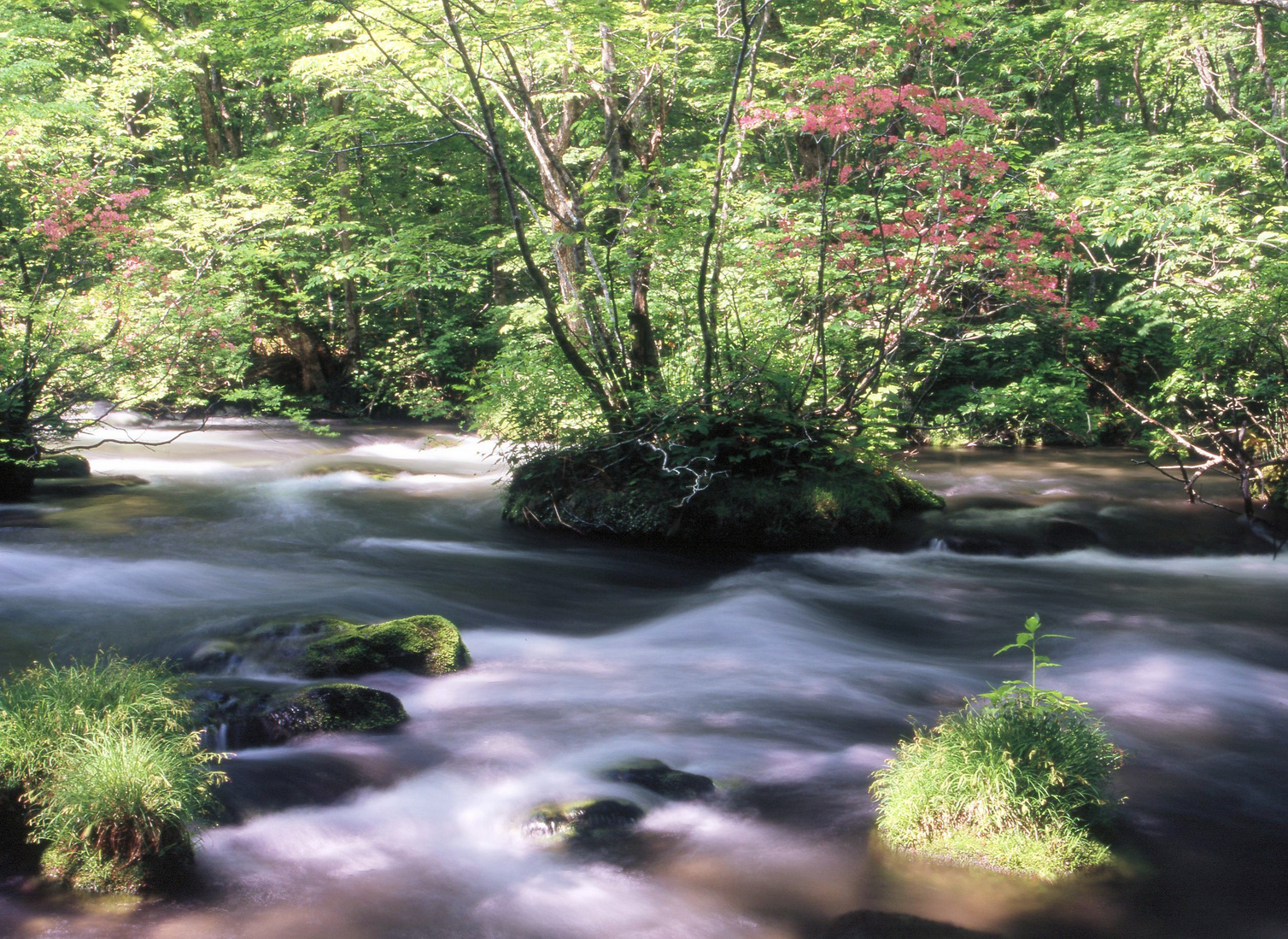 KEN�eS�@�t�H�g�M�������[