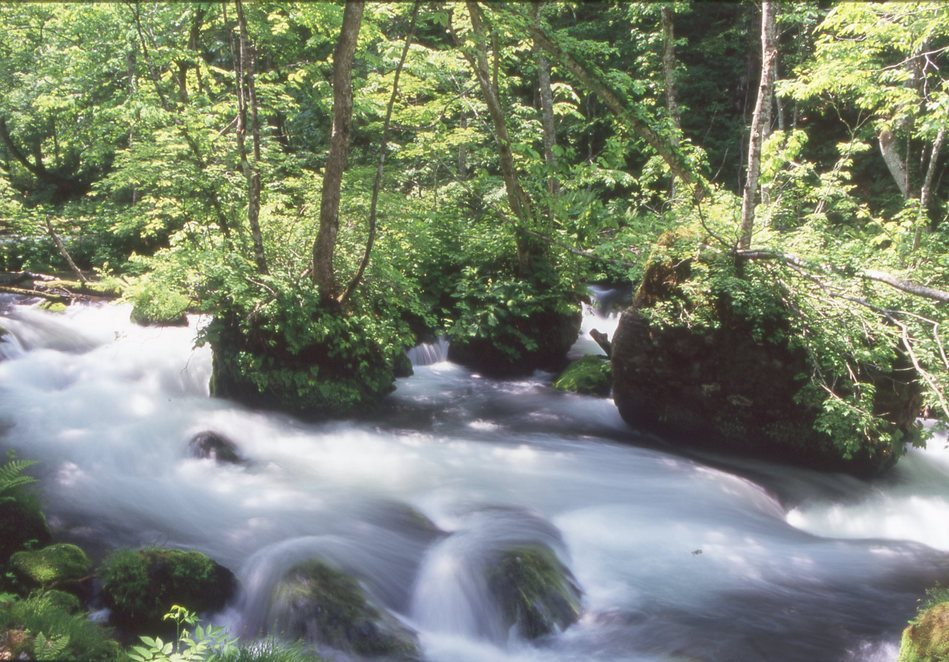 KEN�eS�@�t�H�g�M�������[