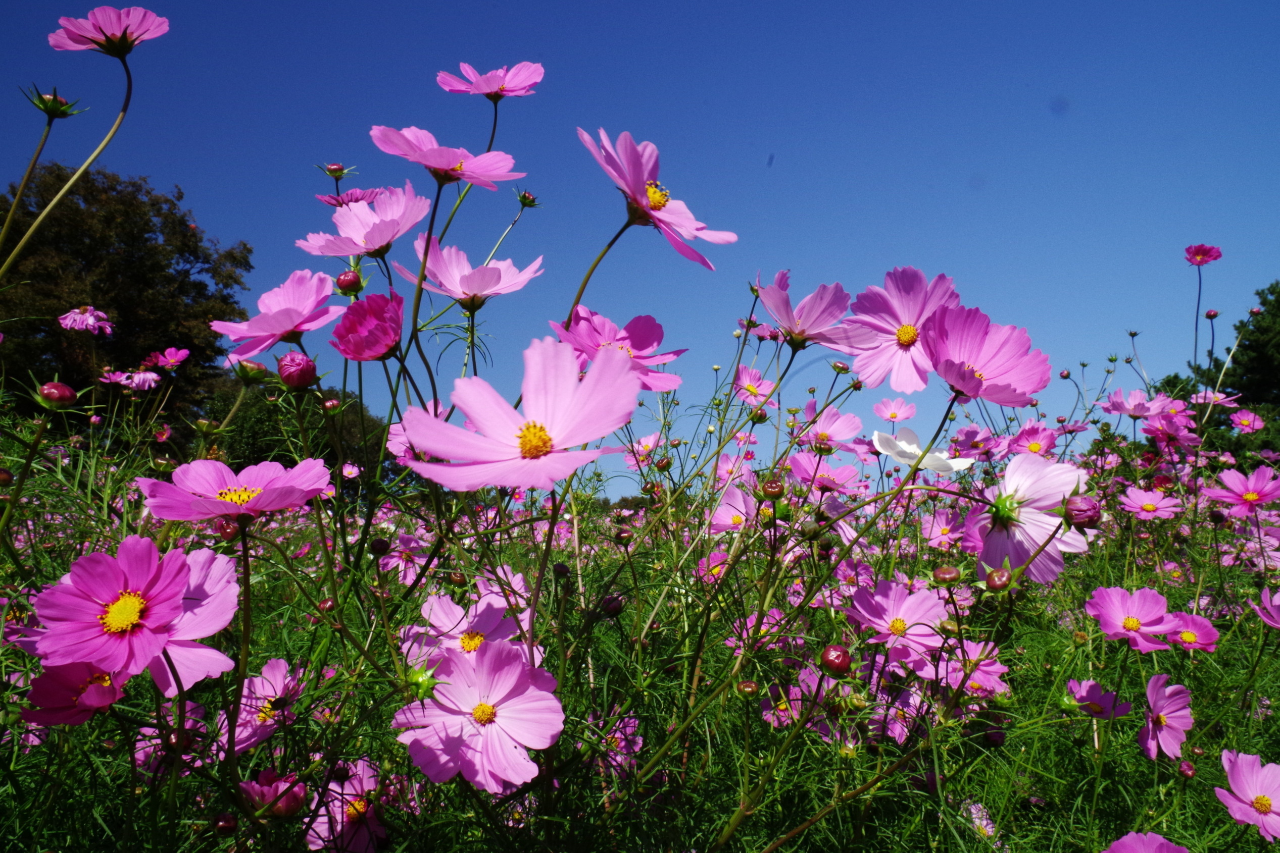 KEN�eS�@�t�H�g�M�������[