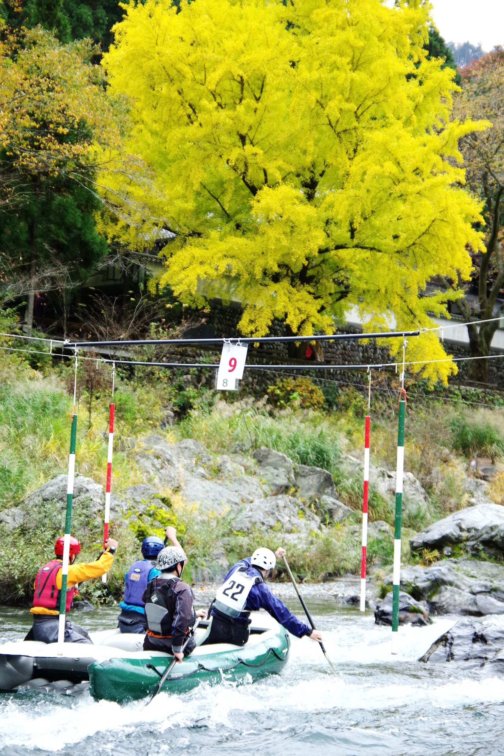 KEN�eS�@�t�H�g�M�������[