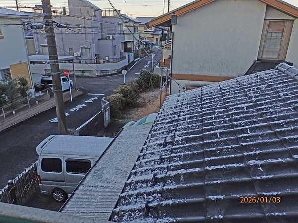 ����i�G�߂̉ԁ����R�A���̉ԁj