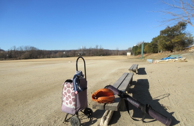 ��̑�_����A�ʁi�җ�싅�����z�G�[���Y�싅���L�j