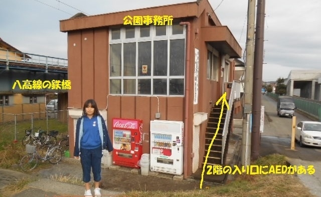 AED�@(�����̊O�����ד��@��)�i�җ�싅�����z�G�[���Y�싅���L�j