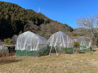 �������L�i�V������y���i���X���D���j�j