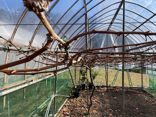 �������L�i�V������y���i���X���D���j�j