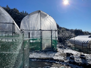 �������L�i�V������y���i���X���D���j�j