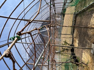 �������L�@�{����i�V������y���i���X���D���j�j