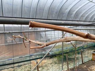 �������L�i�V������y���i���X���D���j�j