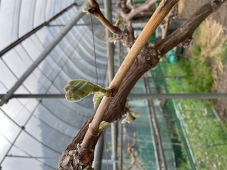 �������L�i�V������y���i���X���D���j�j