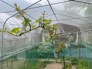 �������L�i�V������y���i���X���D���j�j