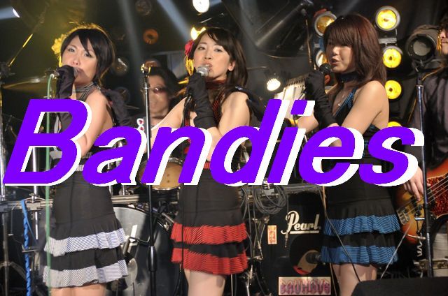 �o���f�B�[�Y�i�a�`�m�c�h�d�r�j�E�L�����f�B�[�Y�i�b�`�m�c�h�d�r�j�t�H�[�G�o�[�I