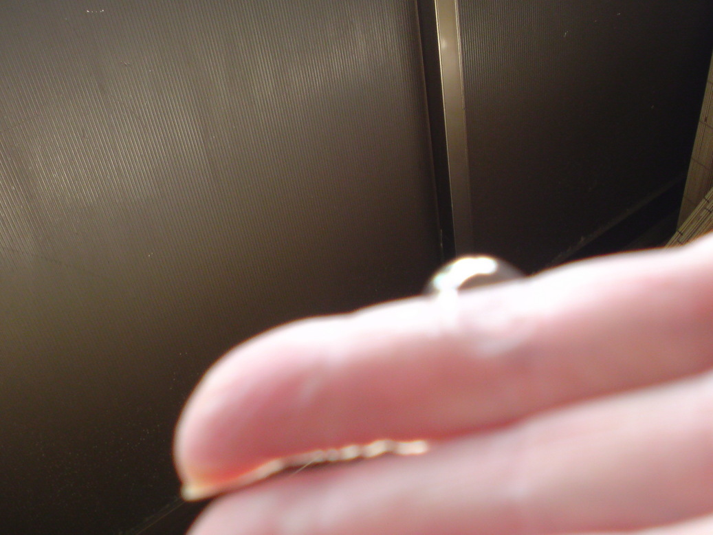 ���V���F�̐��E