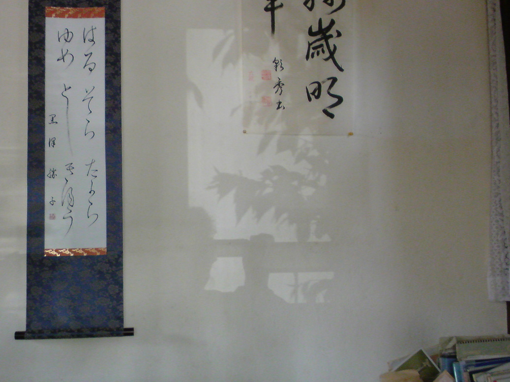 ���V���F�̐��E