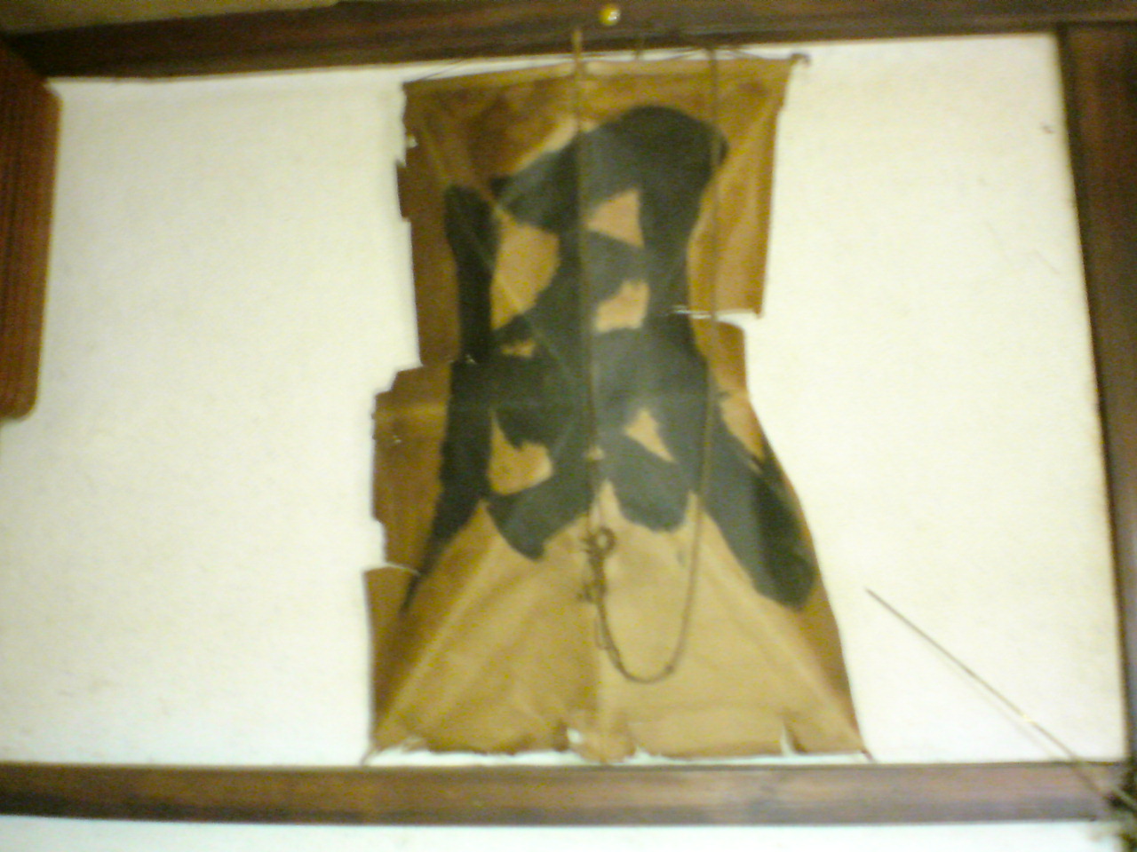 ���V���F�̐��E