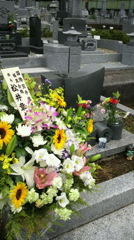 ���V���F�̐��E