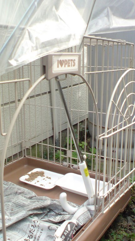 ���V���F�̐��E