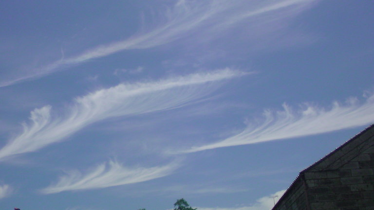 ���V���F�̐��E