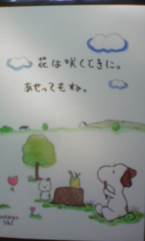 ���V���F�̐��E