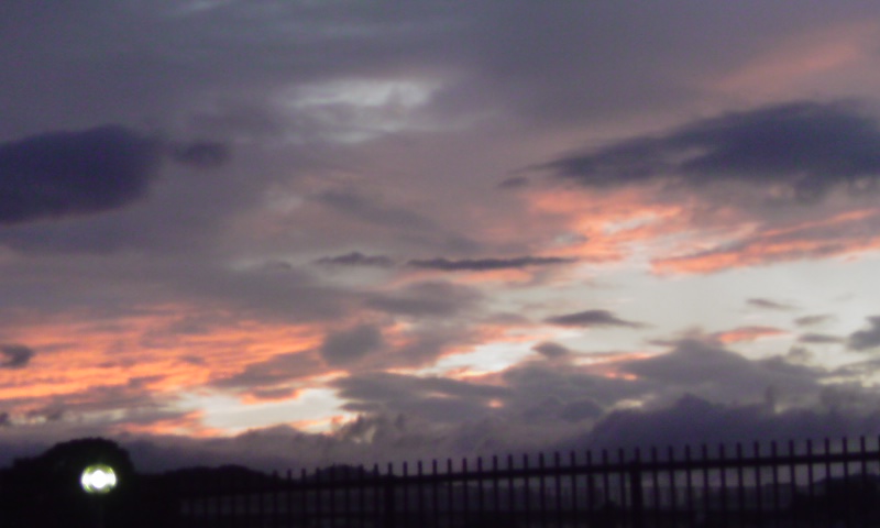 ���V���F�̐��E