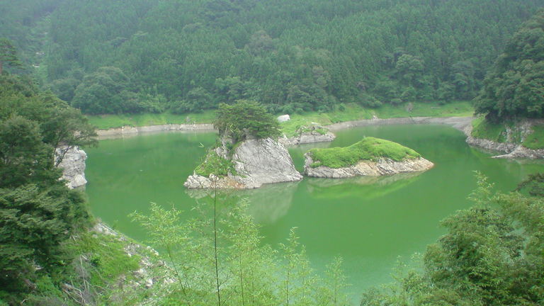 ���V���F�̐��E