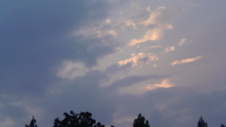 ���V���F�̐��E