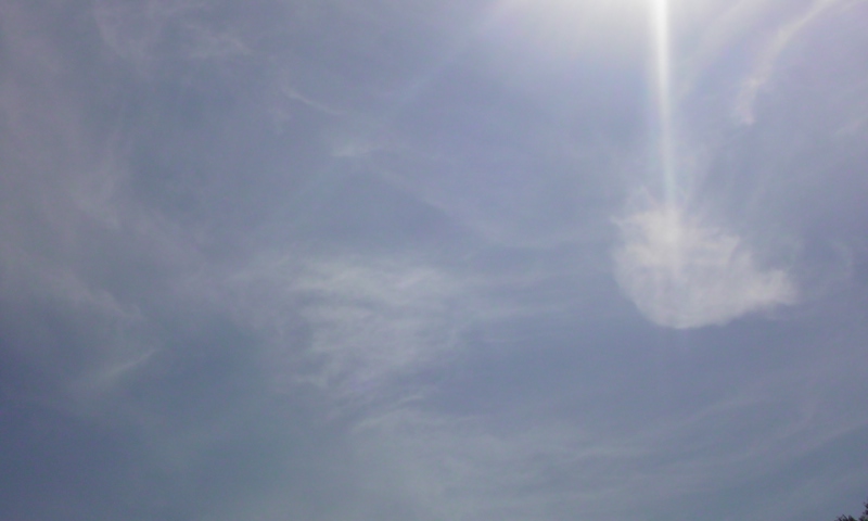 ���V���F�̐��E