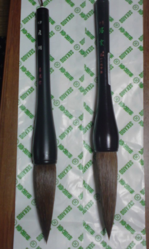 ���V���F�̐��E