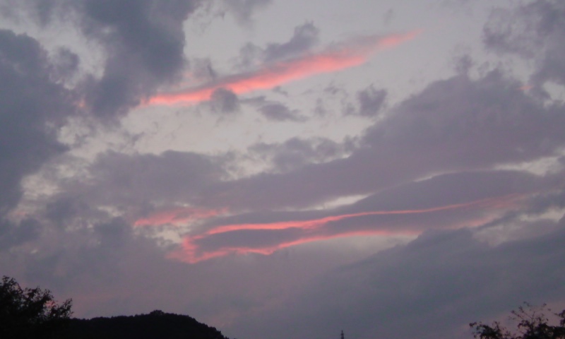 ���V���F�̐��E