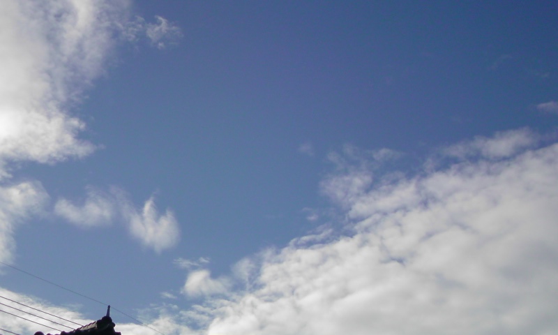 ���V���F�̐��E