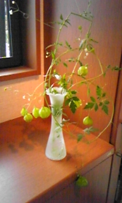 ���V���F�̐��E