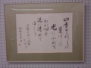 ���V���F�̐��E