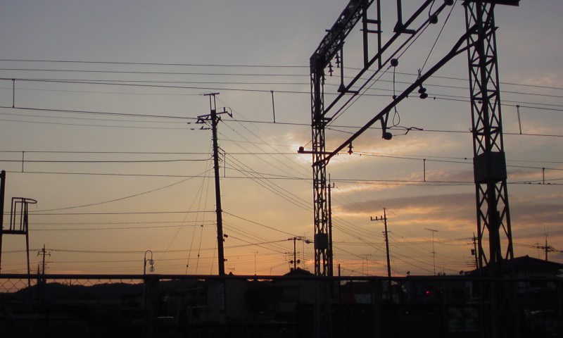 ���V���F�̐��E