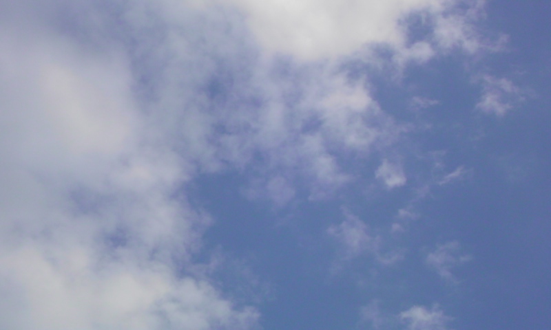 ���V���F�̐��E