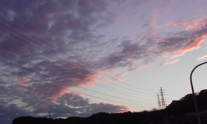 ���V���F�̐��E