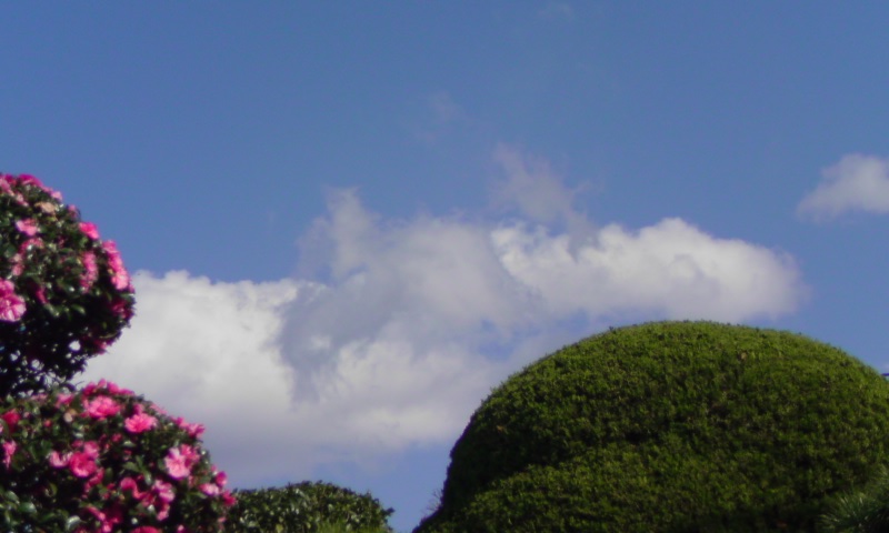 ���V���F�̐��E