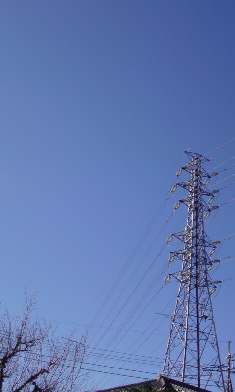 ���V���F�̐��E