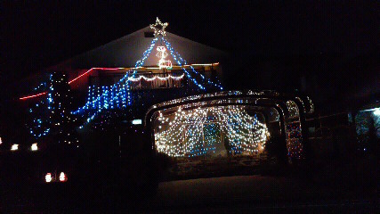 ���V���F�̐��E