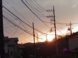 ���V���F�̐��E