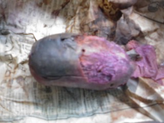 ���V���F�̐��E