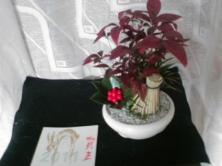 ���V���F�̐��E