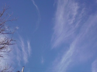 ���V���F�̐��E