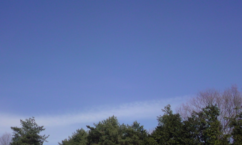 ���V���F�̐��E