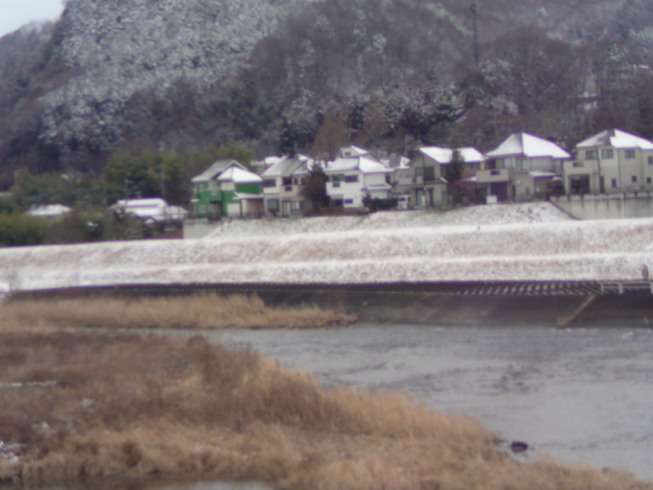 ���V���F�̐��E