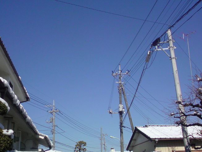 ���V���F�̐��E